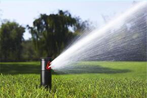 QQ截图20161118160406