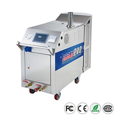 Steam Clean Carpet: C500