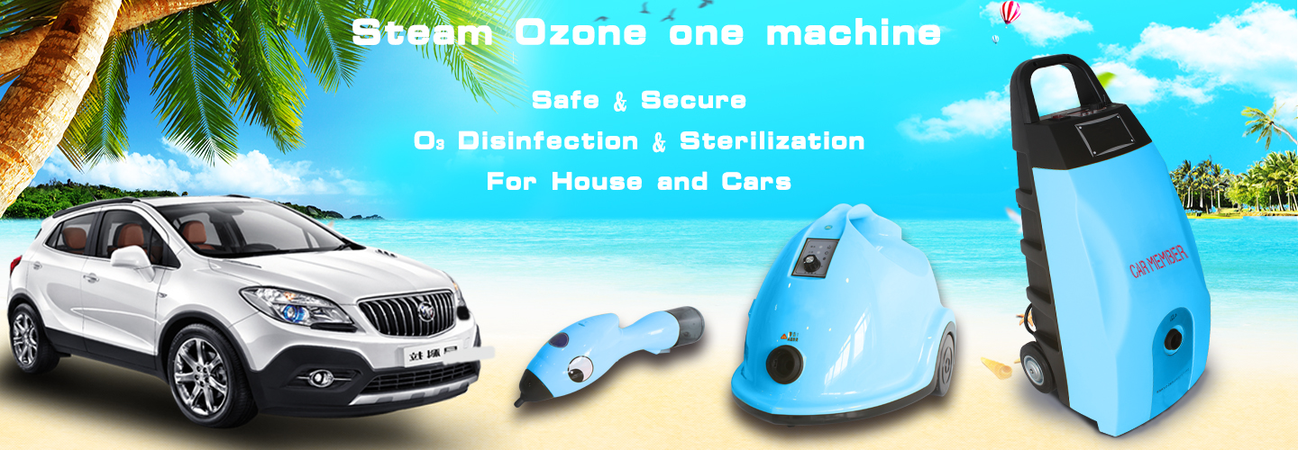 Best Steam Cleaner with Steam & Ozone - Mini Steam Cleaner