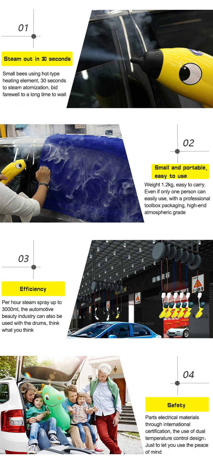 Description of Hand Steam Cleaner from Car Member