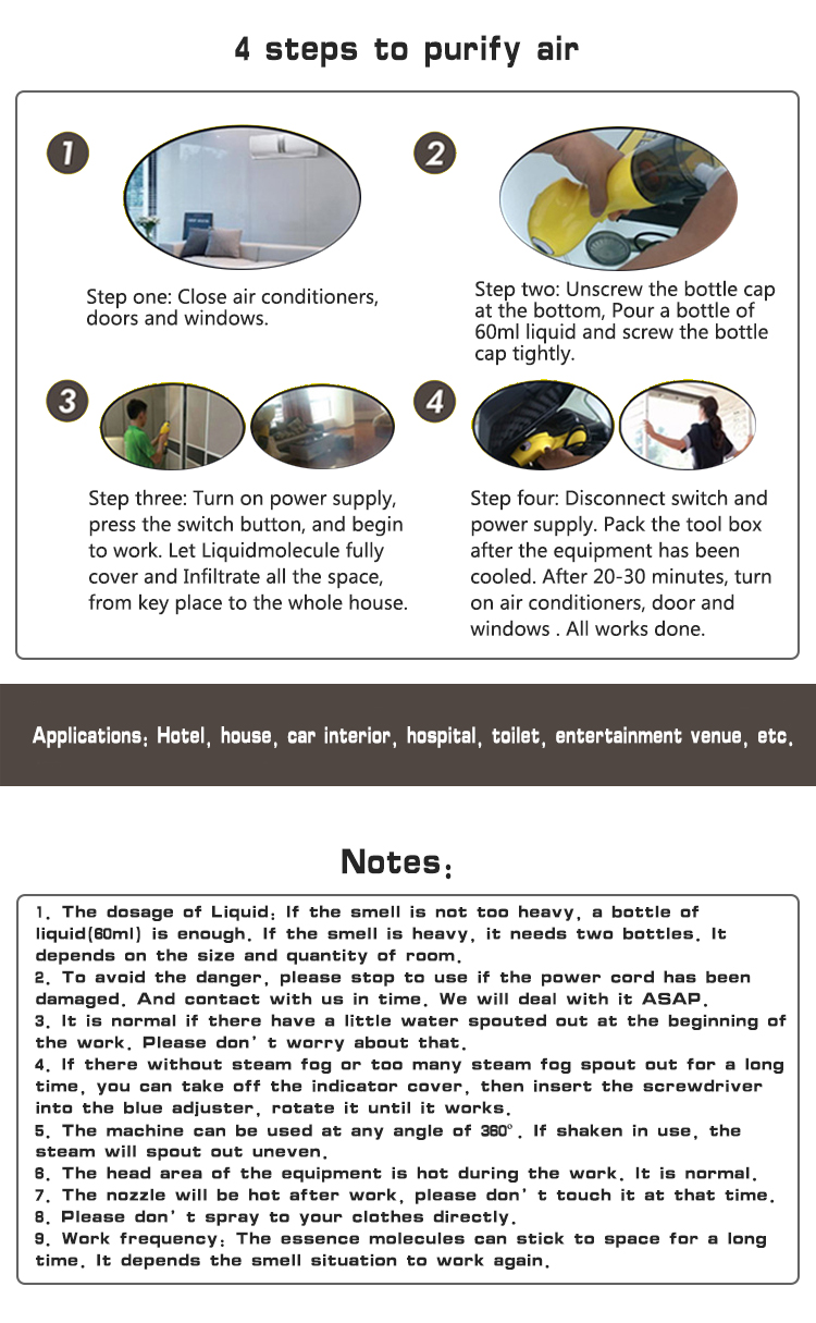 Steps with Portable Steam Cleaner